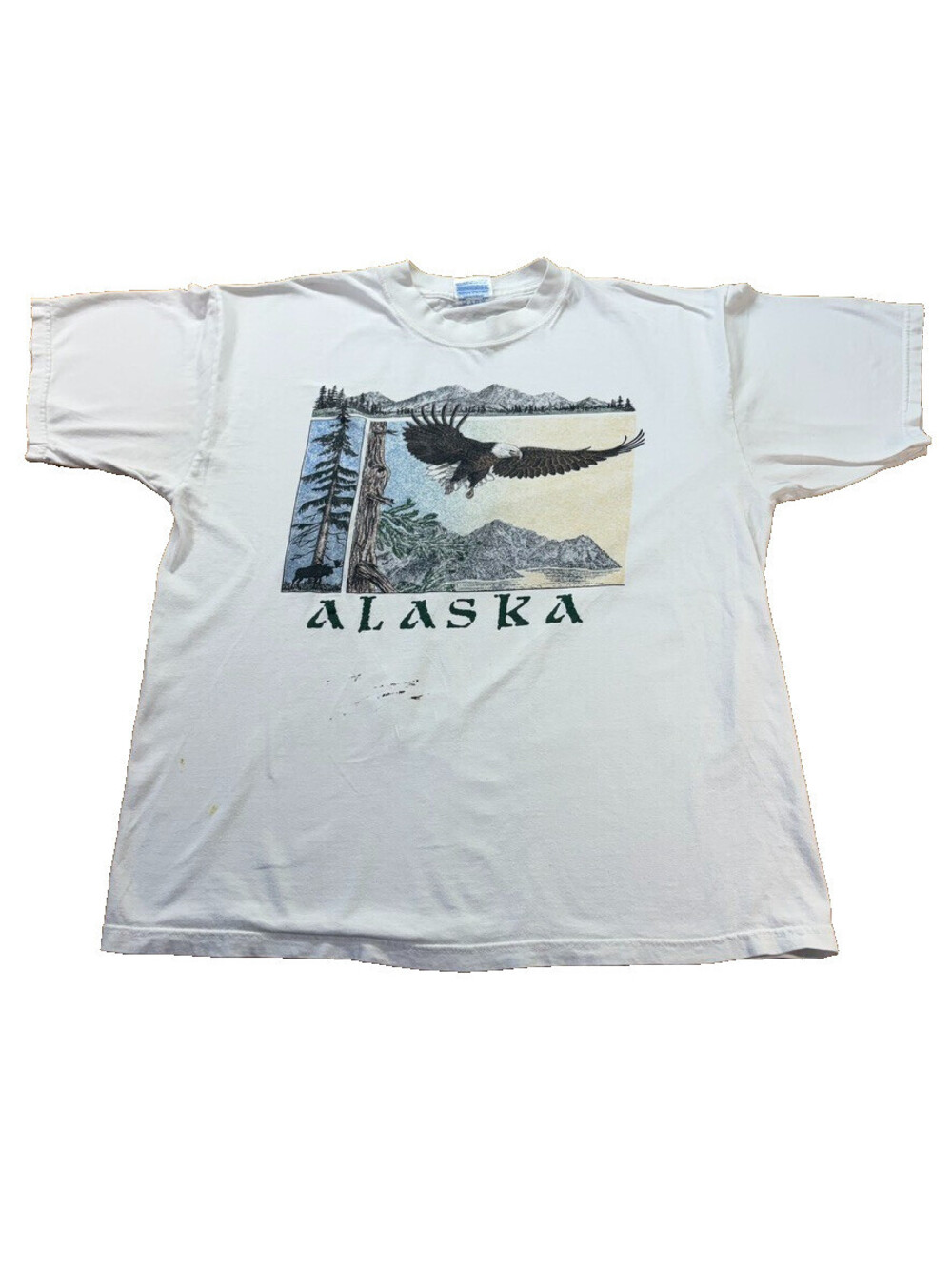 Y2K Alaska Bald Eagle Nature Scene Tee White Boxy Fit XL